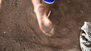 Digging with the feet