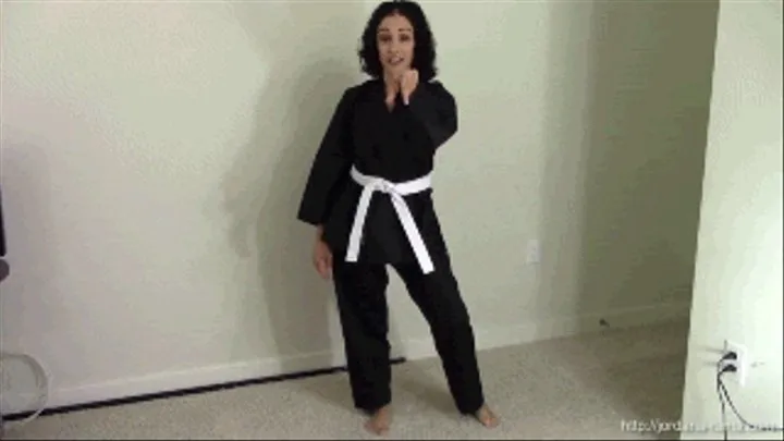 POV Karate