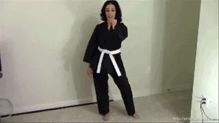 POV Karate