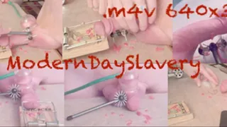 Modern Day Slavery / MB1 / cbt cock ball (2 of 2) - slave owner master slavery servitude wartenburg rat trap hot wax pain