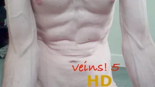 vein fetish 5 - arms and more arms