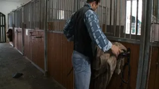 Amazing slut fucks stable boy