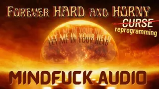Hard and Horny FOREVER (audio)