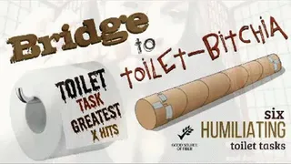 Bridge to Toilet-Bitchia: Humiliating Toilet Task Greatest Hits
