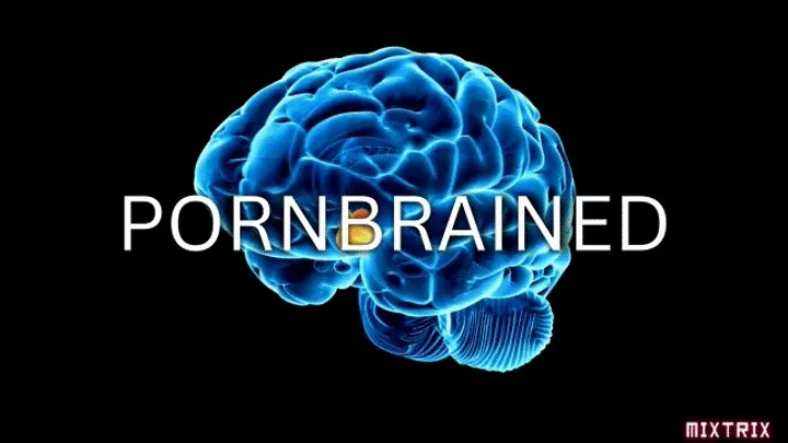 Pornbrained (no music)