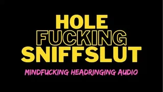 Hole Fucking Sniffslut (audio)