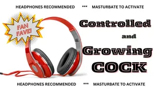 Controlled and Growing Cock