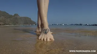 CRAB POINT OF VIEW: GIANT FEET