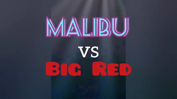 Malibu Vs Big Red - Scissors Contest