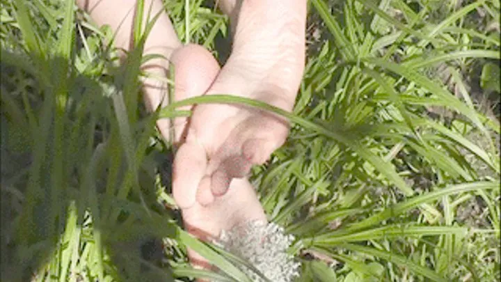 foot in grass and flowers.