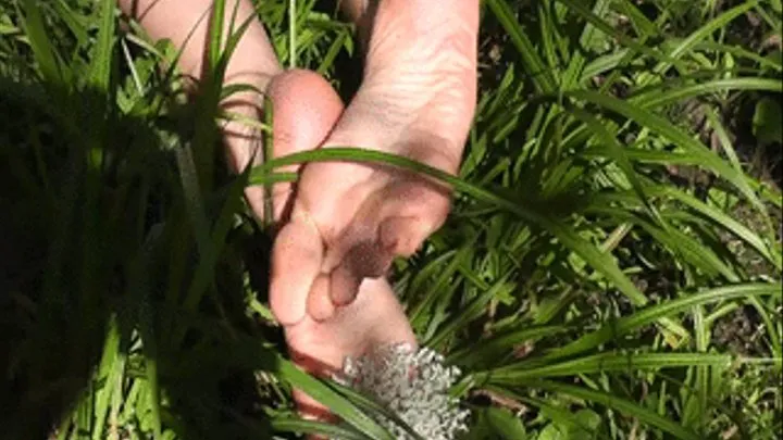 soles in grass and flowers.