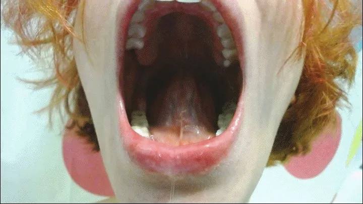 Mouth Tour