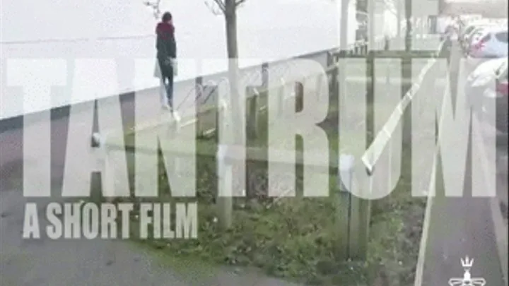 The Tantrum: A Short Film