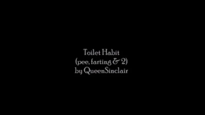 Toilet Habits with big farting, pee, and you know..........