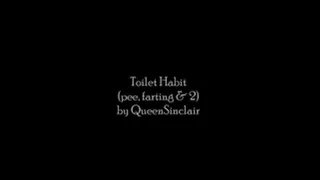 Toilet Habits with big farting, pee, and you know..........