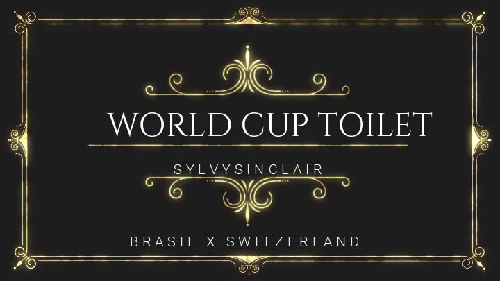 World Cup Toilet - Game Brasil x Switzerland