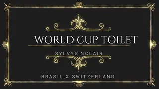 World Cup Toilet - Game Brasil x Switzerland