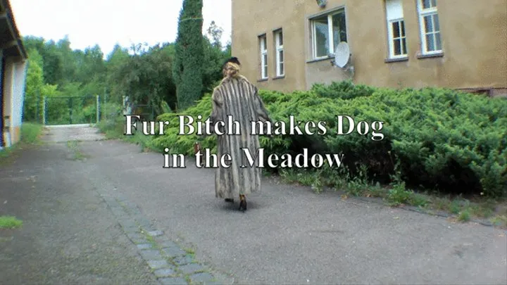 Fur bitch makes pet in the Meadow