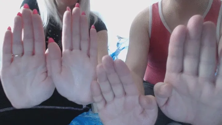 Hand comparison (body part comparison)