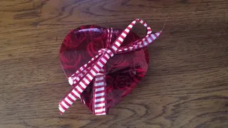 Brie's Early Valentine's Day Gift 1