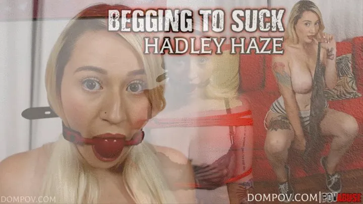 Hadley Haze begs to suck your cock