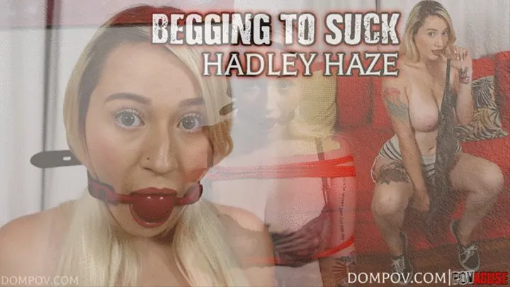 Hadley Haze Begging, getting Spanked, and sucks dick