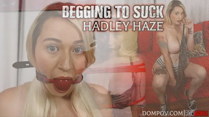 Hadley Haze Begging to Suck - Blowjob & Facial Full Video