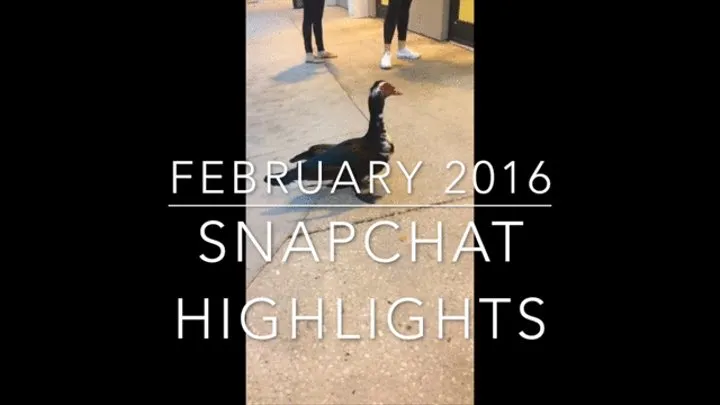 67 - Snapchat Recap Video February 2016