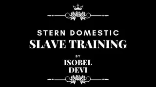 Stern Domestic Slave Training