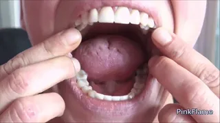 Explore my mouth [PIPER]