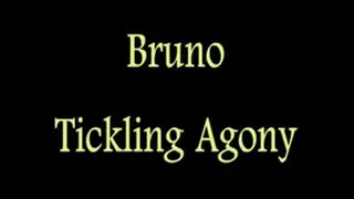 Young Bruno in a Tickling Agony