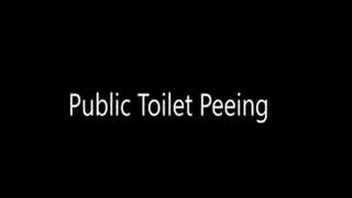 Very Busy Public Loo Peeing