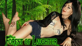 Forest of Laughter (Audio Fantasy)