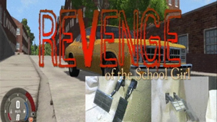 Revenge of the School Girl