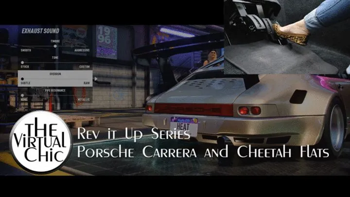 Rev it Up Series: Porsche Carrera and Cheetah Flats