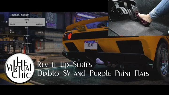 Rev it Up Series: Diablo SV and Purple Print Flats