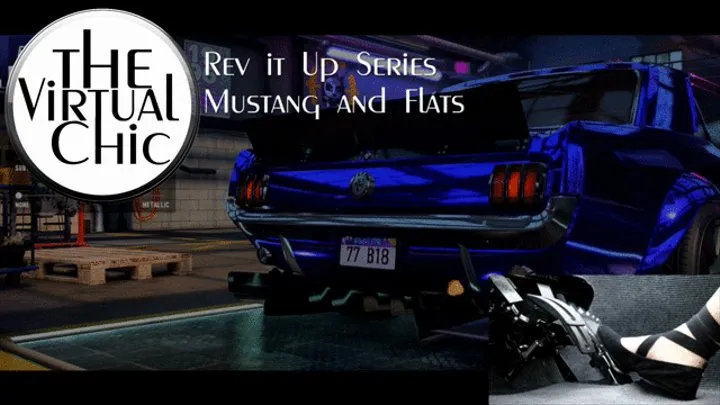 Rev it Up Series: Mustang and Flats