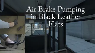 Black Friday Deal: Air Brake Pumping Collection