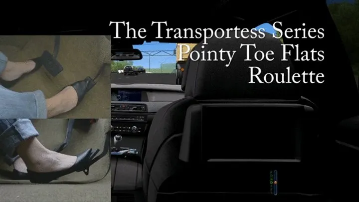 The Transportess Series: Pointy Toe Flats Roulette