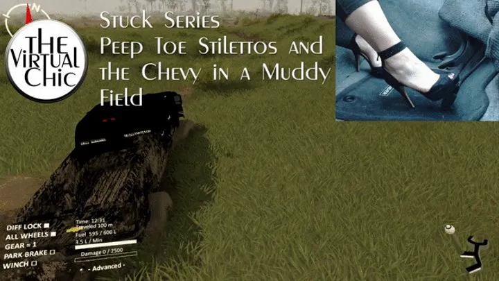 Stuck Series: Peep Toe Stilttos and the Chevy in a Muddy Field