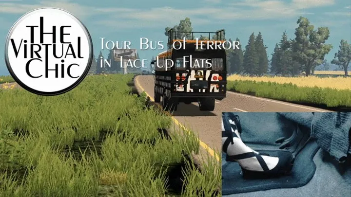 Tour Bus of Terror in Lace Up Flats