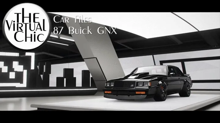 Car Files: 87 Buick GNX