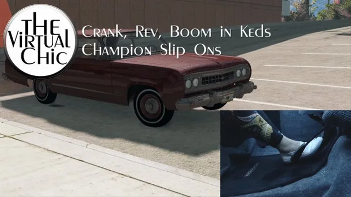 Crank, Rev, Boom in Keds Champion Slip Ons