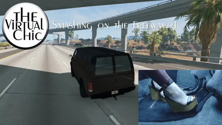 Smashing on the Freeway 4