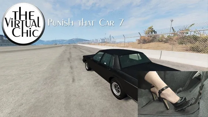 Punish that Car 7