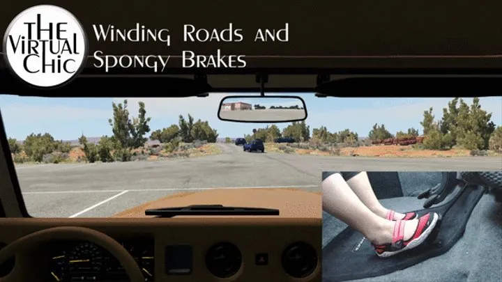 Winding Roads and Spongy Brakes