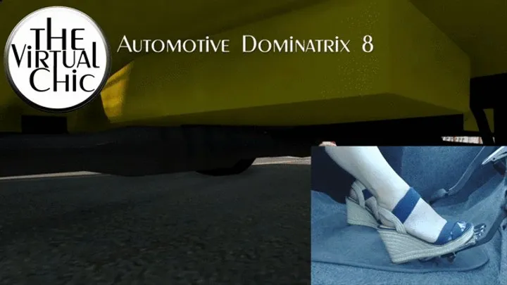 Automotive Dominatrix 8