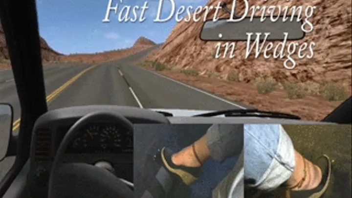 Fast Desert Driving in Wedges