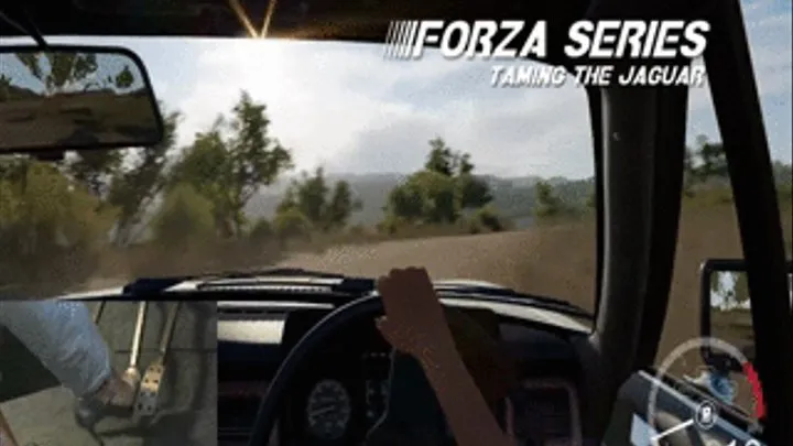 Forza Series: Taming the Jaguar