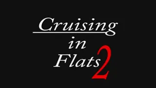 Cruising in Flats 2